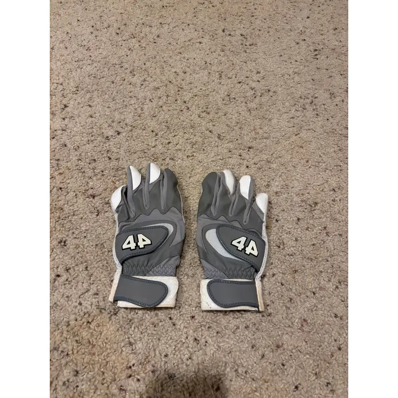 Large 44 Pro Batting Gloves (Used)