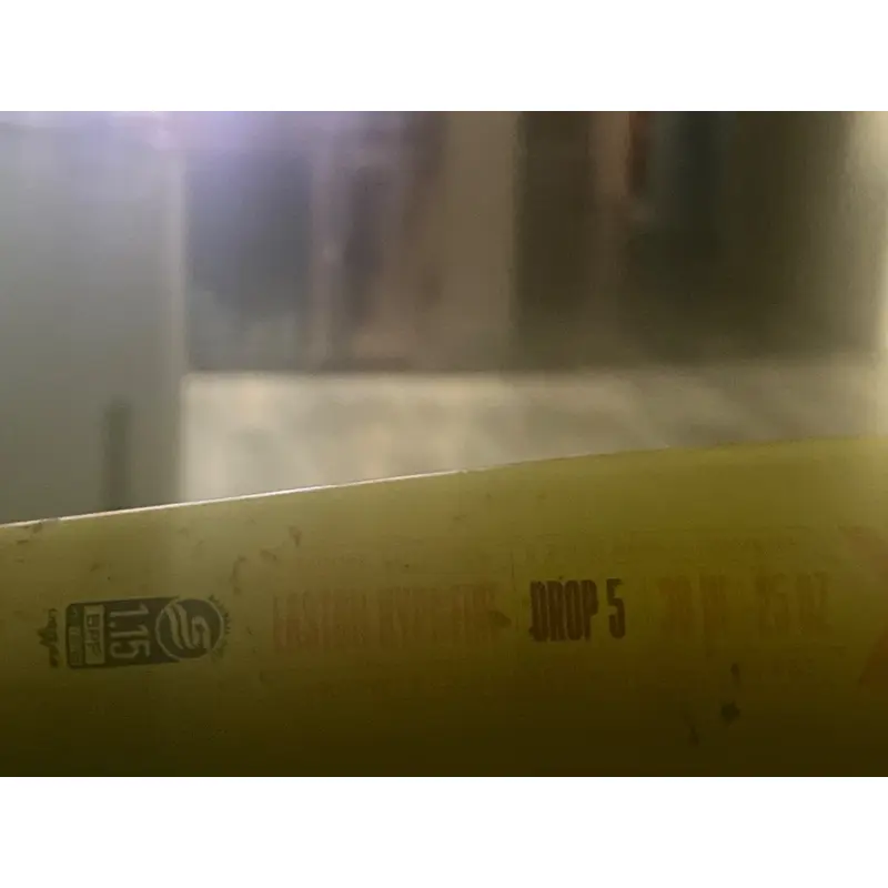 Easton Hype Fire Composite USSSA Certified Bat (-5) 25 oz 30" (Used)