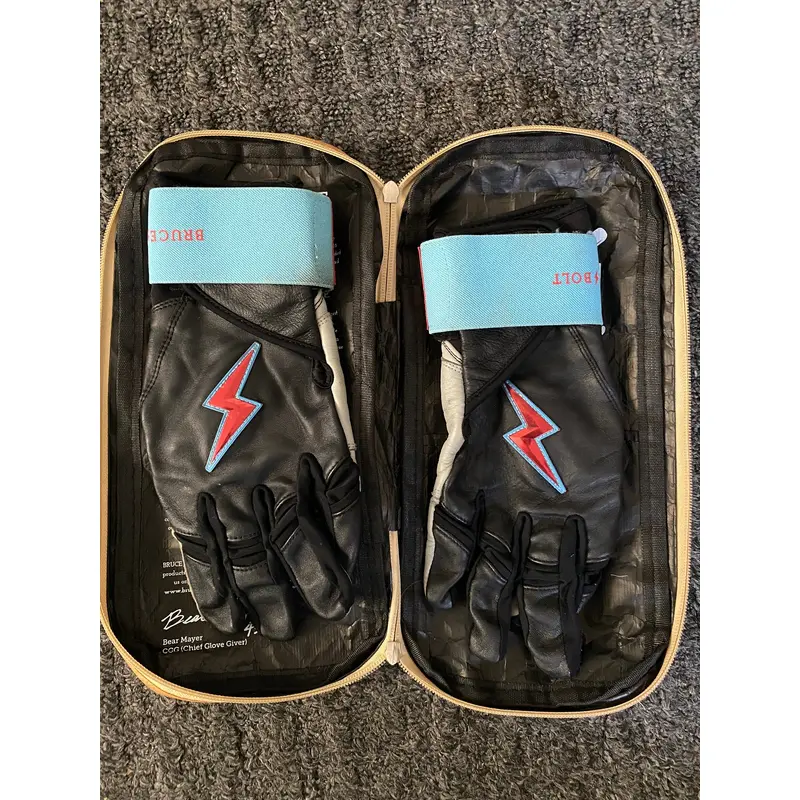 Bruce bolt batting gloves