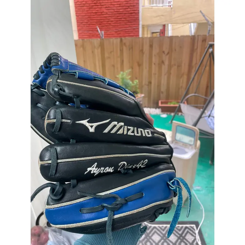 Custom made Mizuno Glove