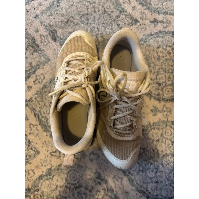 White Men's Size M 7.5 (W 8.5) Youth Nike Low Top Trainers Trout (Used)