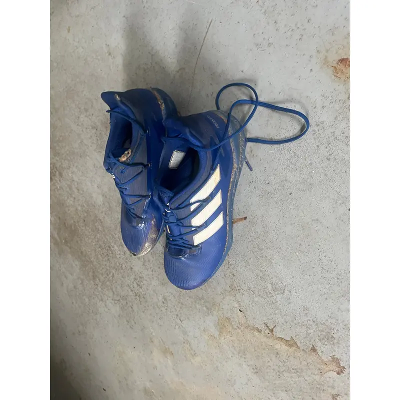 Blue Used Men's Low Top Metal
