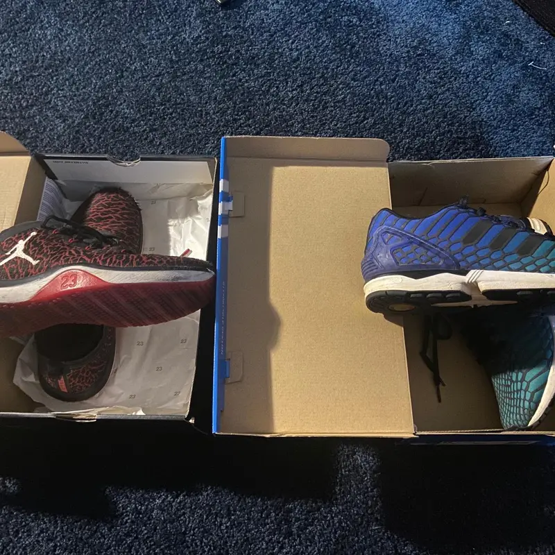 Sneaker Package: Adidas ZX flux Size 7/Air Jordan Trainers 8