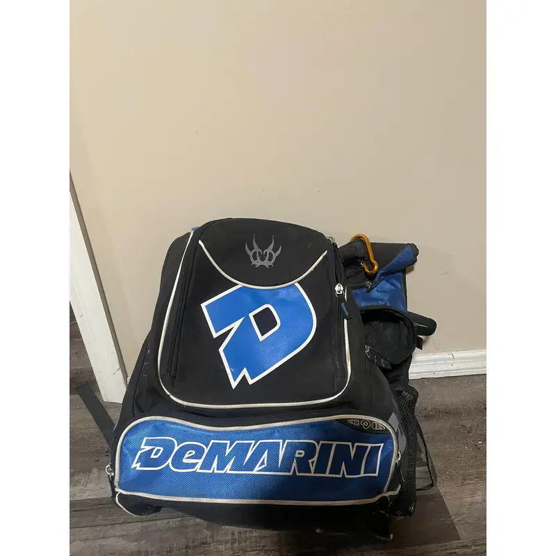 Used Baseball bag