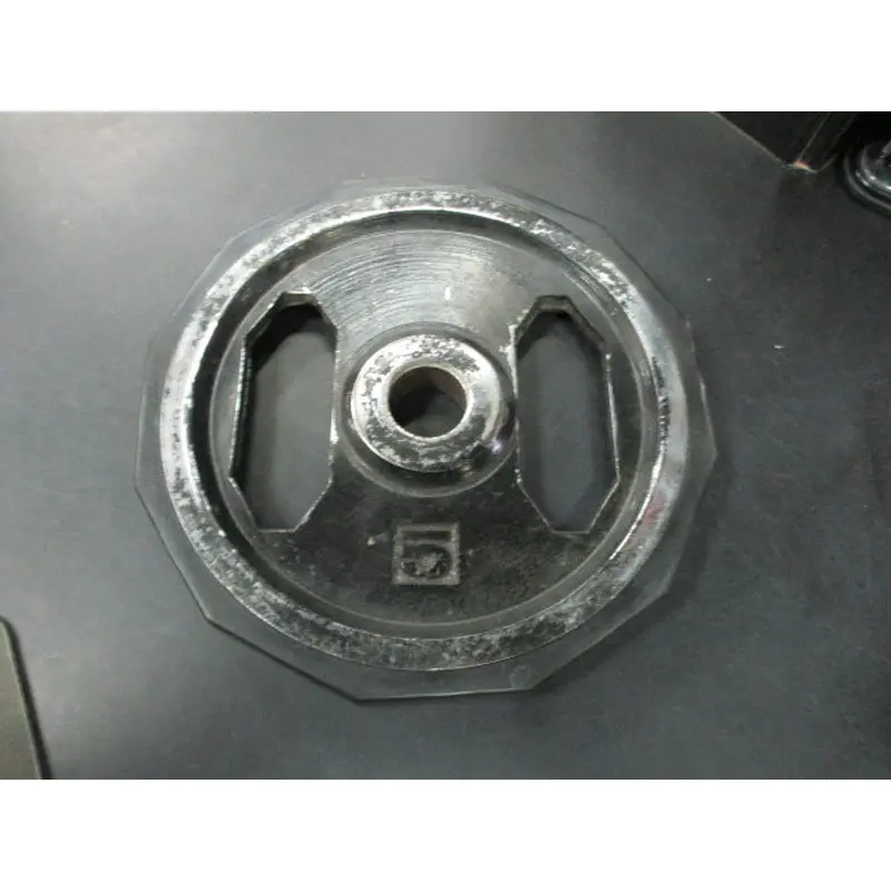 Used 5 LB Standard Weight Plate
