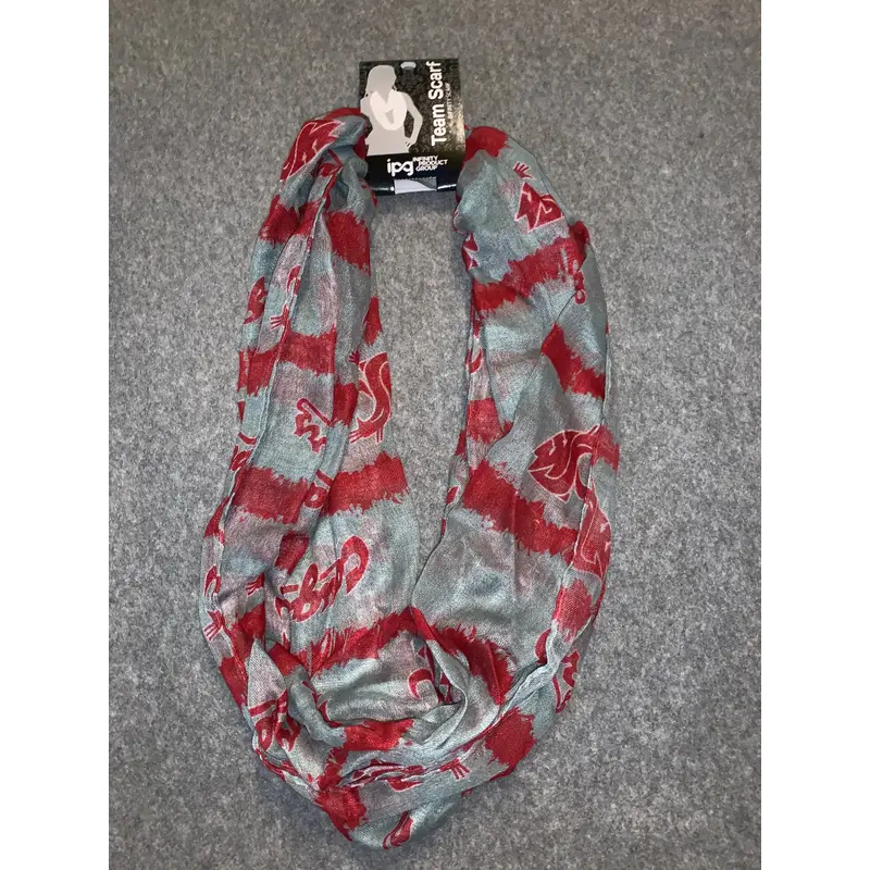 WSU Sheer Infinity Scarf