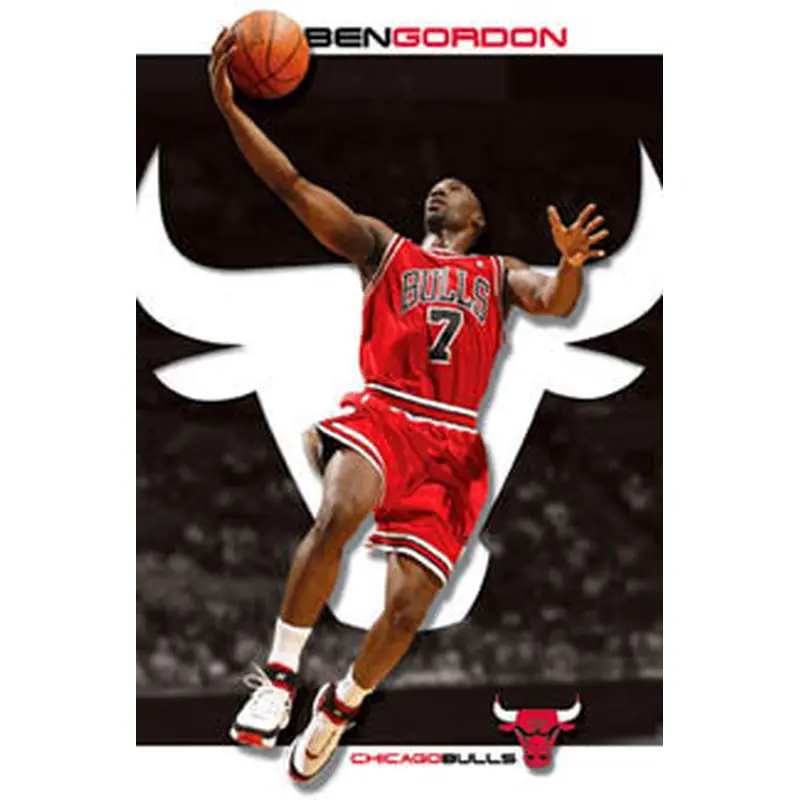 Ben Gordon "Brilliant" Chicago Bulls Poster - Costacos 2007