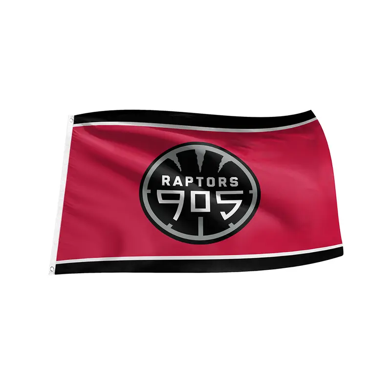 NBA Toronto Raptors 3x5 905 Flag with Grommets