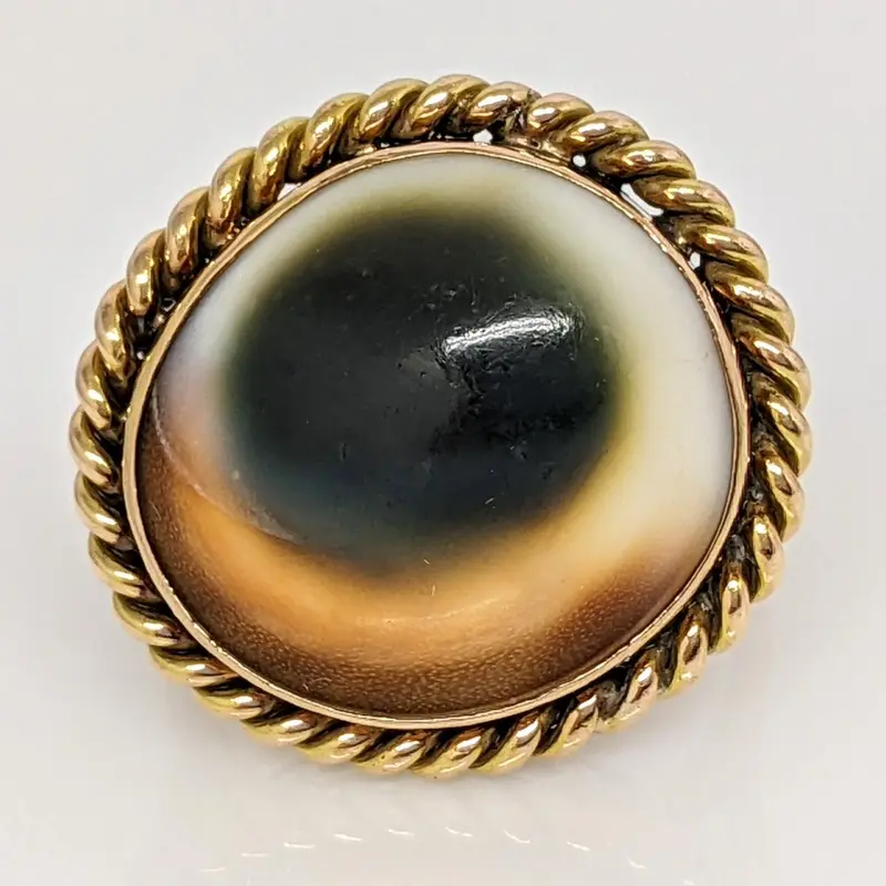 14K SHELL OVAL 16X17 WITH GOLD TRIM ESTATE RING 8.2 GRAMS