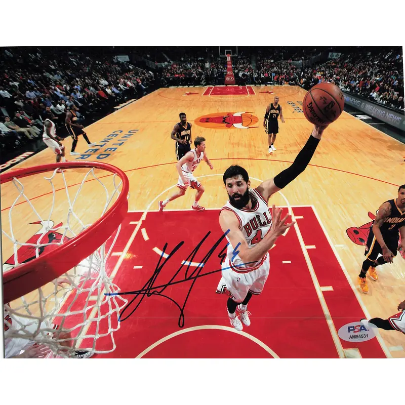 Nikola Mirotic signed 8x10 photo PSA/DNA Chicago Bulls Autographed