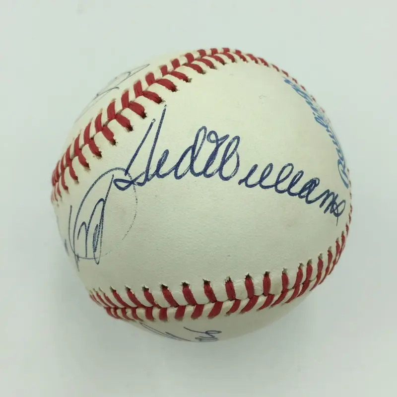 Nice Ted Williams, Carl Yastrzemski & Bobby Doerr Signed Baseball PSA DNA COA