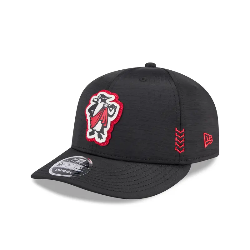 Rome Emperors Clubhouse 9FIFTY Low Profile Snapback