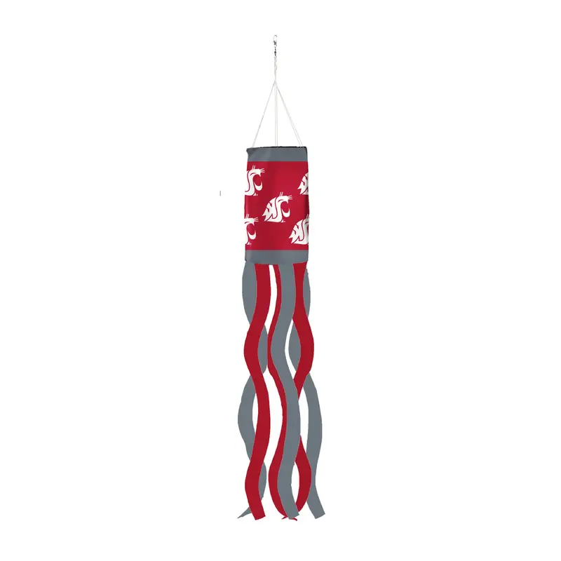 Evergreen Washington State University Windsock