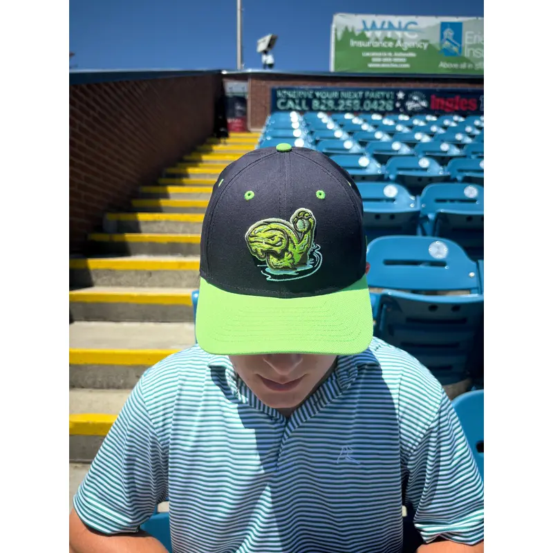 The Asheville Tourists Snot Otters 9Forty New Era