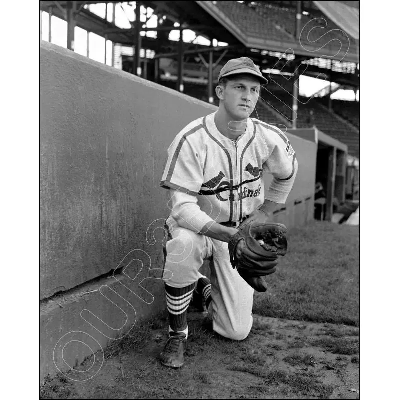 Stan Musial 8X10 Photo - St. Louis Cardinals - 1371
