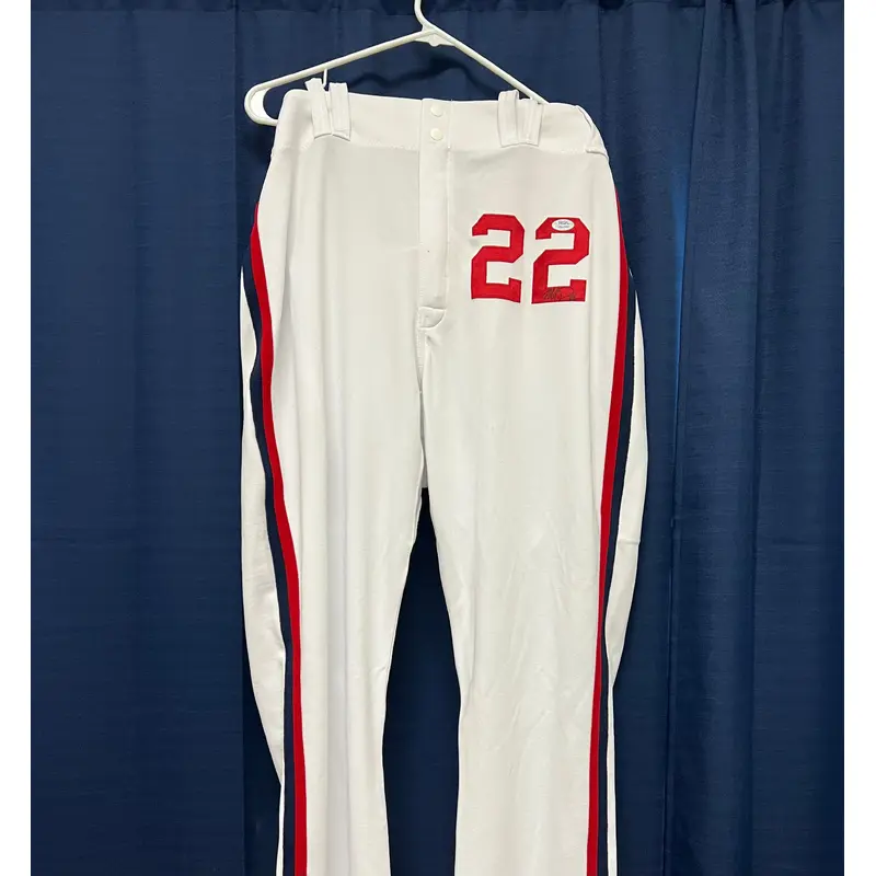 Matt Davidson signed baseball pants PSA/DNA Chicago White Sox Autographed