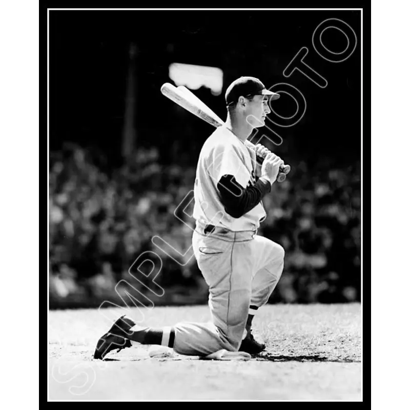 Ted Williams 8X10 Photo - 1950 Boston Red Sox - 818