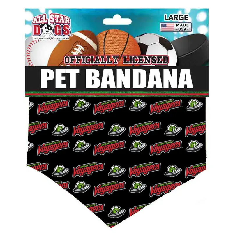 Orbit Print Pet Bandana