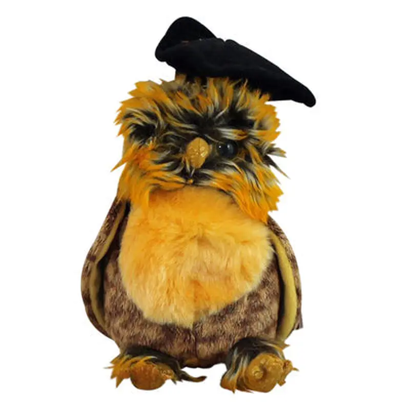 Smartest the Owl