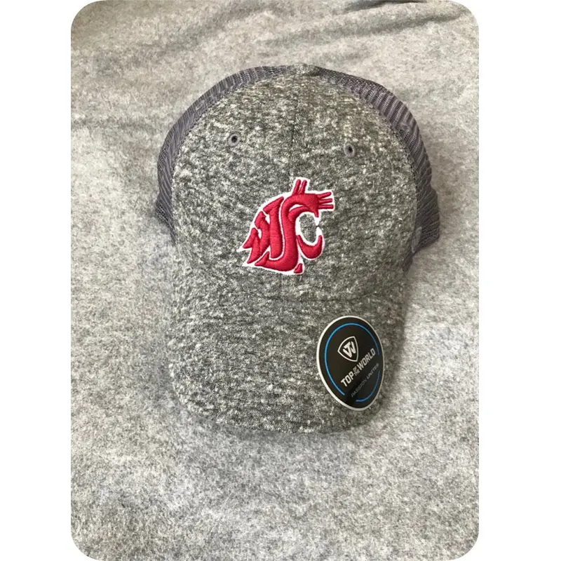 Heather Grey And Mesh Cougar Baseball Hat