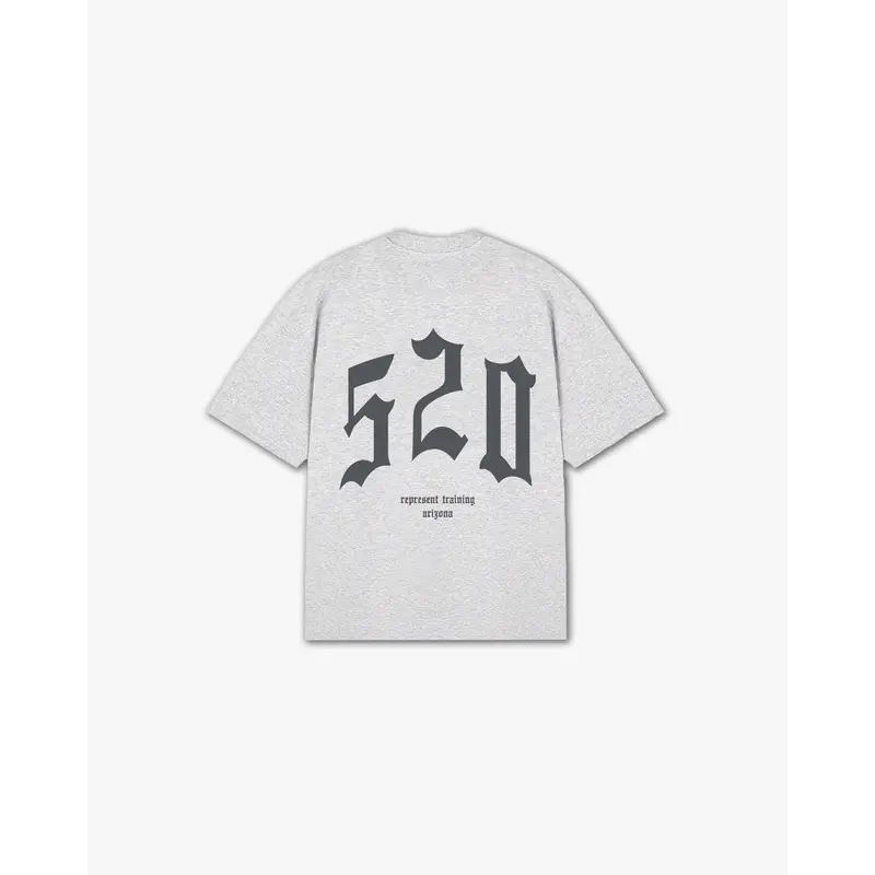 THE (520) VANQUISH TRAINING V2 ELITE TEE