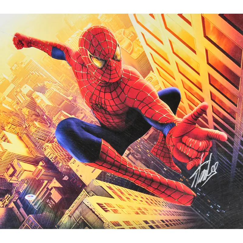 Stan Lee Marvel Authentic Signed 20x24 Spider-Man Canvas Autographed PSA/DNA