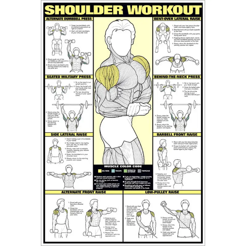 Shoulder Workout Professional Fitness Instructional Wall Chart Poster - Fitnus Corp.