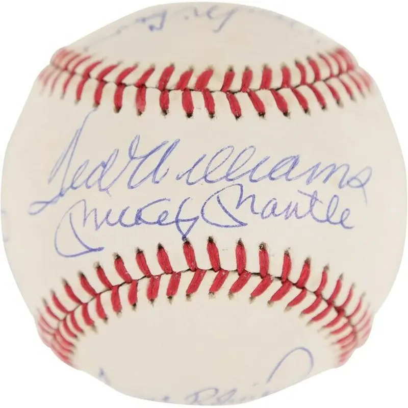 Stunning 500 Home Run Club Signed Baseball PSA DNA MINT 9 Mickey Mantle 11 Sigs