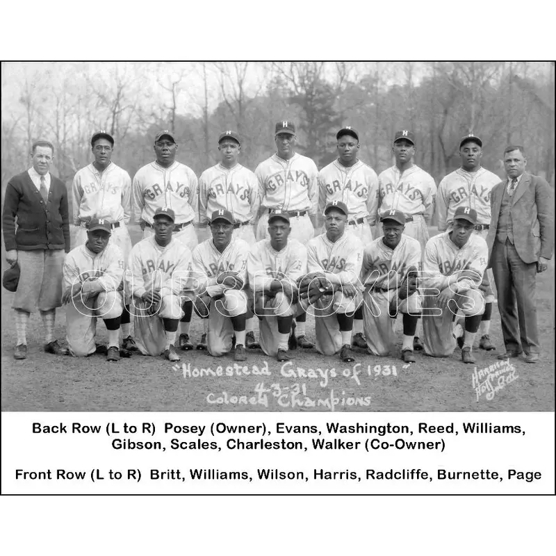1931 Homestead Grays 8X10 Photo - Gibson Williams Charleston - 1219