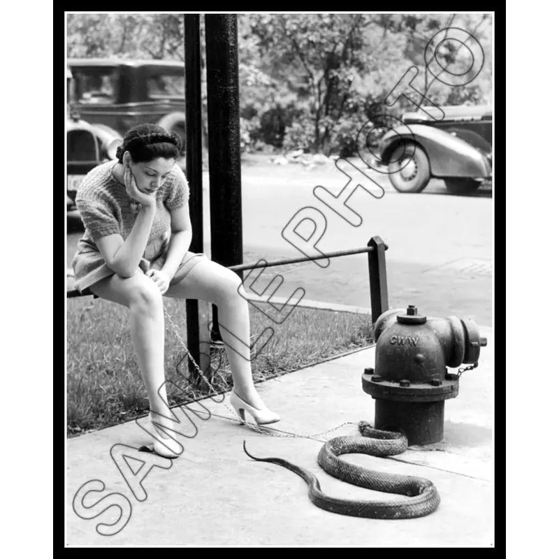 1937 Miss Zorita 8X10 Photo - 2870
