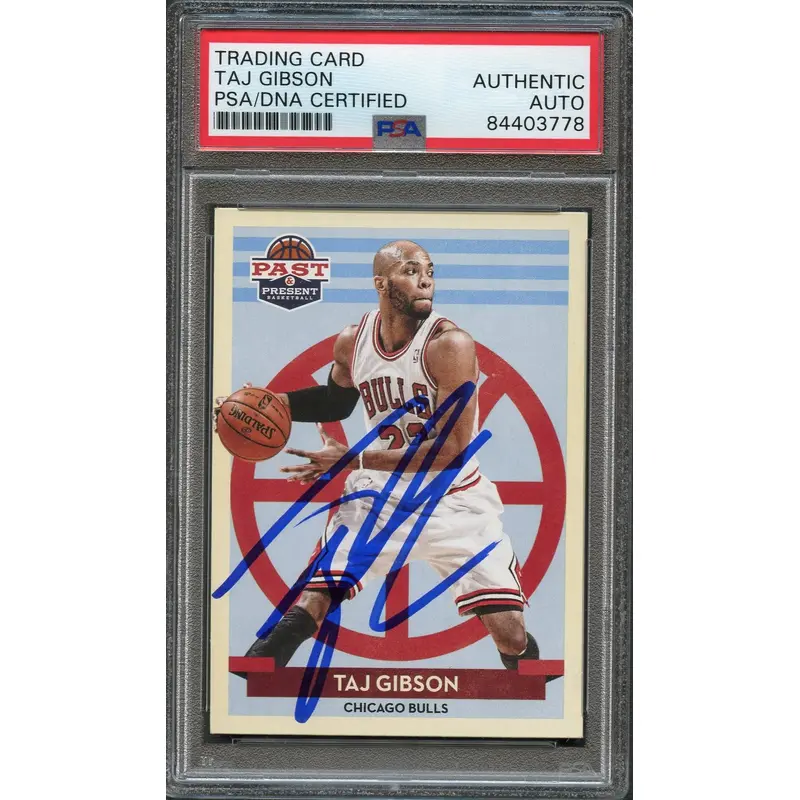 2012-13 Panini Past and Present #136 Taj Gibson Signed Card AUTO PSA Slabbed Bulls