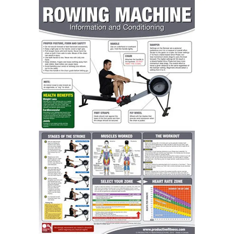 Rowing Machine Professional Gym Fitness Wall Chart 24x36 Poster - Productive Fitness