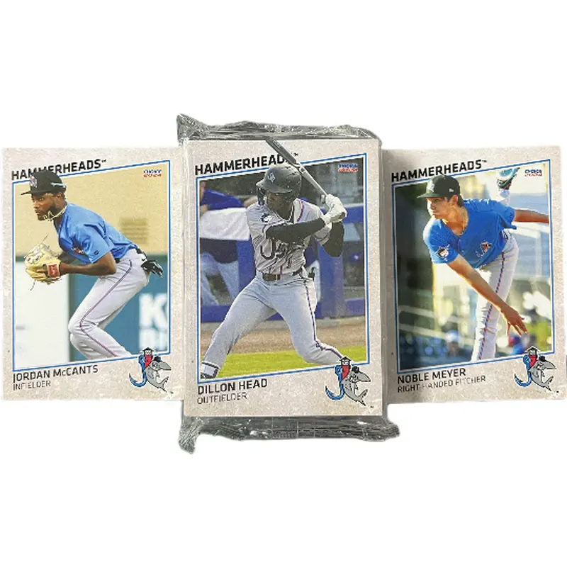 2024 Jupiter Hammerheads Team Set