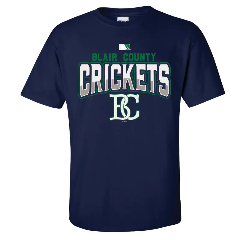 Altoona Blair County Crickets