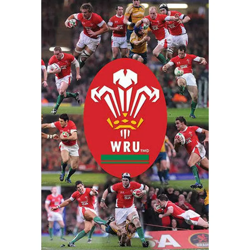 Wales Rugby (Welsh Rugby Union) 2009 Action Poster - Pyramid (UK)