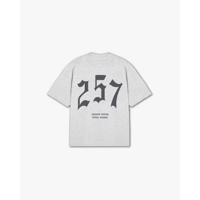 THE (257) VANQUISH TRAINING V2 ELITE TEE