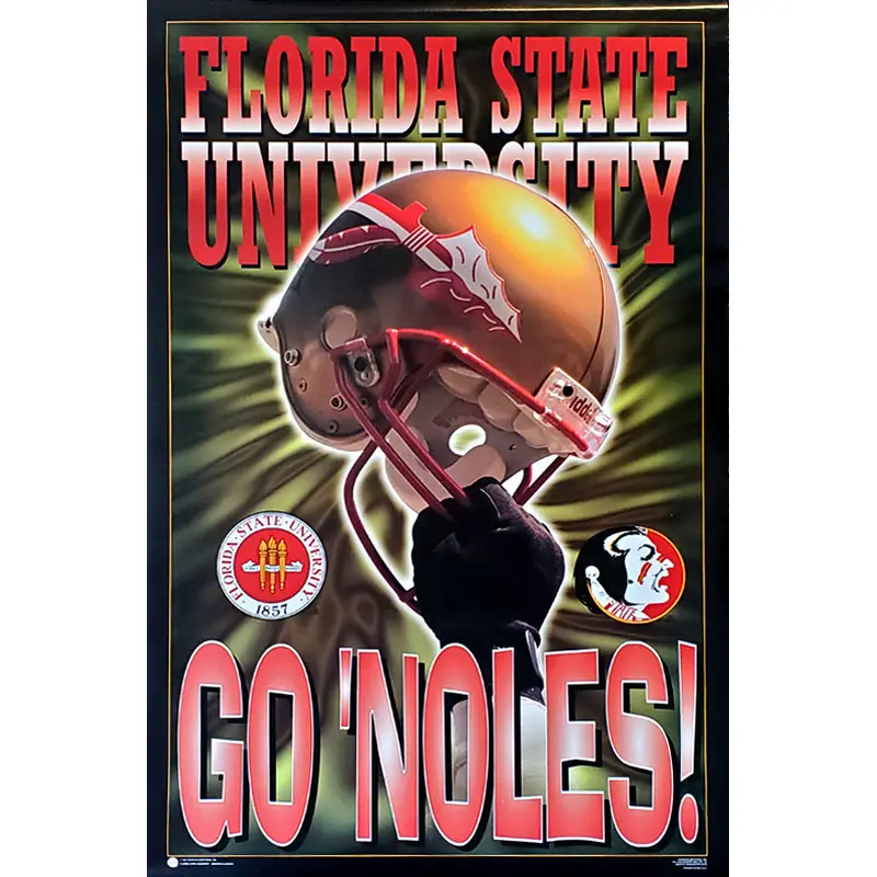 Florida State Seminoles Football "Go 'Noles" Classic Theme Art Poster - Costacos 1996