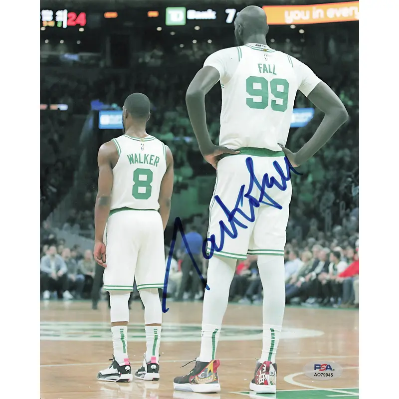 Tacko Fall signed 8x10 photo PSA/DNA Boston Celtics Autographed