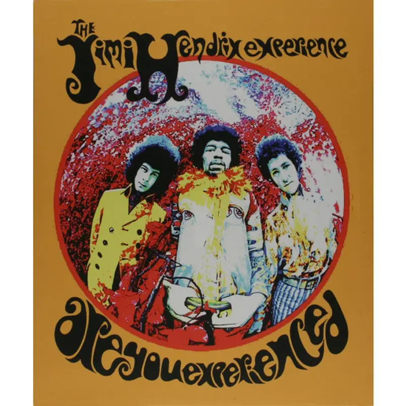 Jimi Hendrix - Experienced Medium Canvas Print