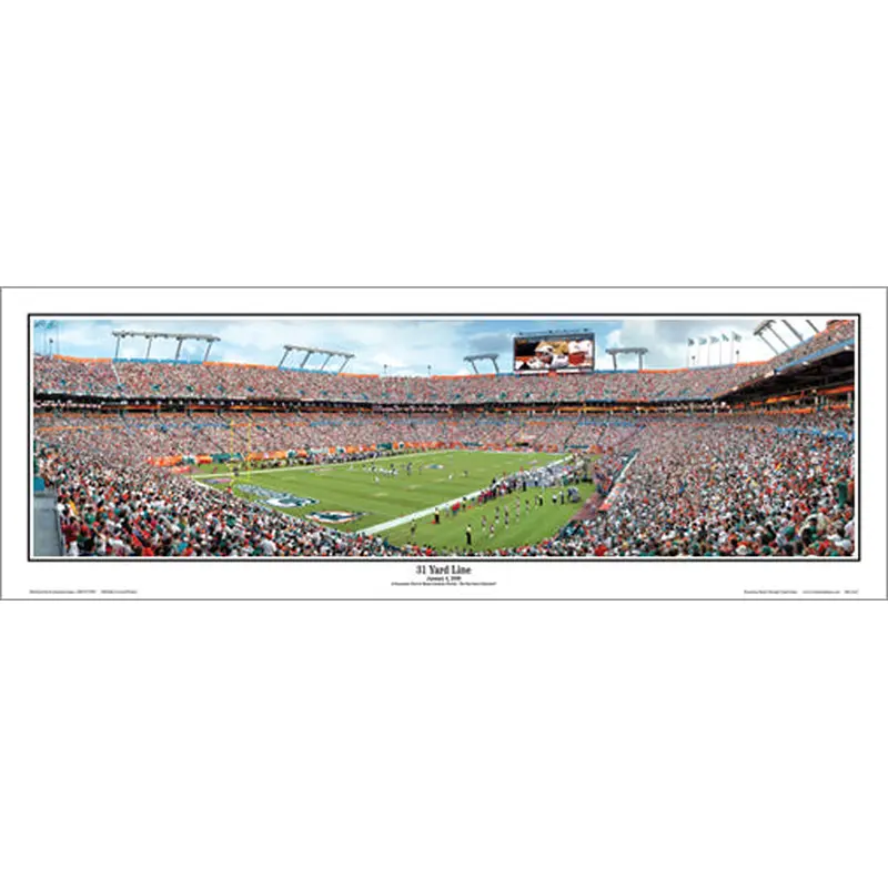 Miami Dolphins "Home Game" Panoramic Poster Print - Everlasting Images