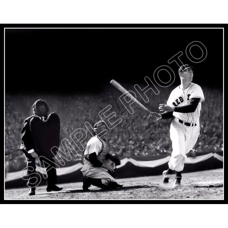 Ted Williams 11X14 Photo - Boston Red Sox - 821