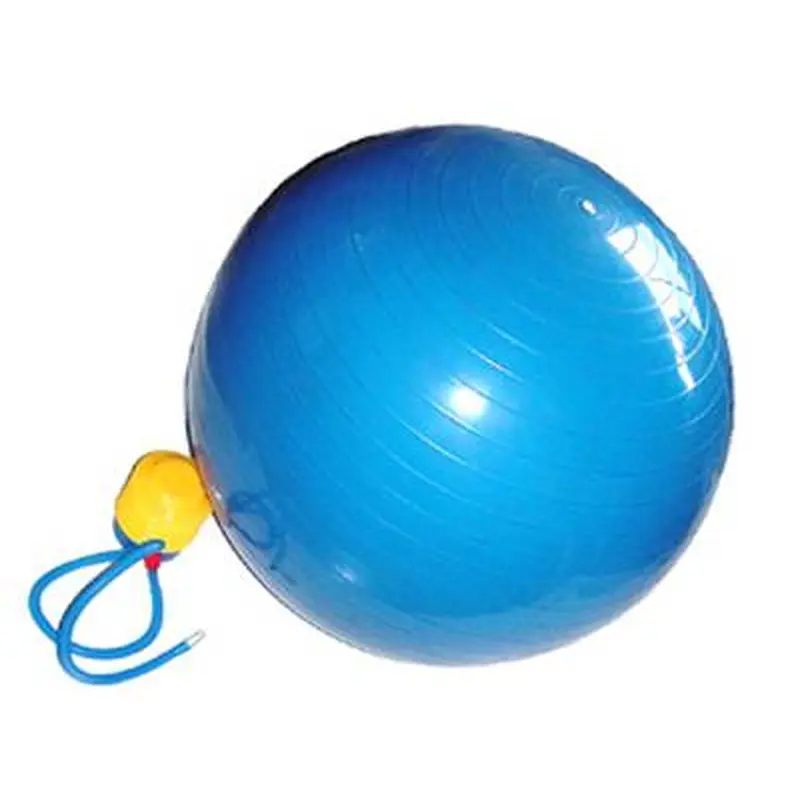 NEW Apollo Athletics 55 CM Exercise Ball