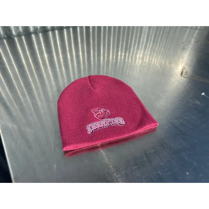 Lehigh Valley IronPigs GIRLS COULTER Knit Cap