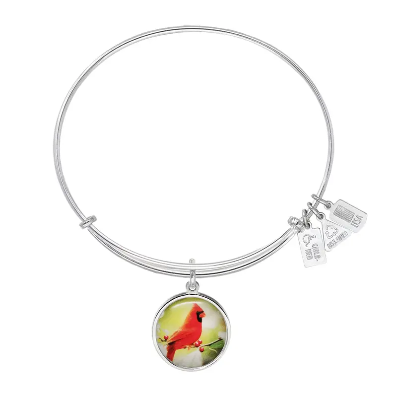 Cardinal Art Disc Charm Bangle